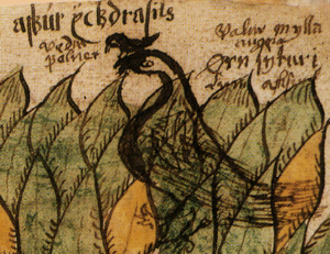 Vedfolnir