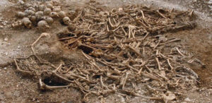 dna testing on skeletons