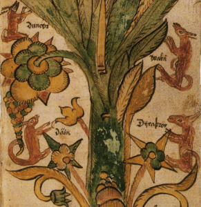 yggdrasil Dain, Dvalin, Duneyr and Durathror
