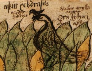 Viðofnir