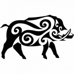 boar
