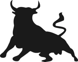 bull