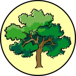 oak tree