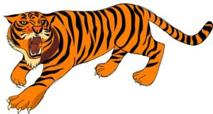 tiger