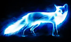 Fylgja animal spirit